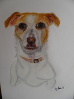 /album/fotogaleria/pb130094-jpg/