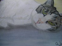 /album/fotogaleria/pc190013-jpg/