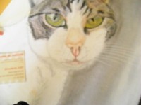 /album/fotogaleria/pc190061-jpg/