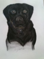 /album/fotogaleria/a395194-351349874875410-100000012006293-1493026-756584732-n-jpg/