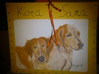 /album/fotogaleria/dsc-0250-jpg/